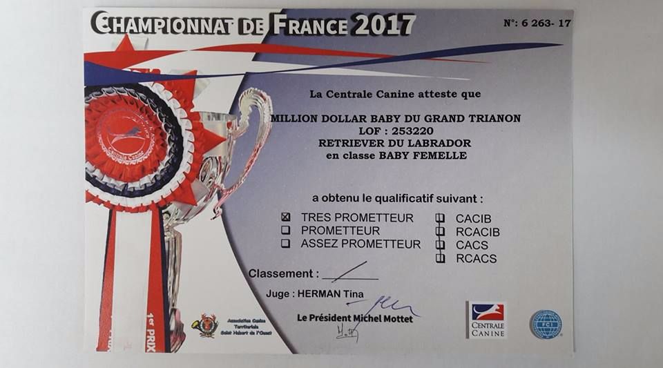 Du Grand Trianon - Championnat de France 2017